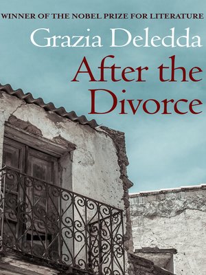 After the Divorce - ebook